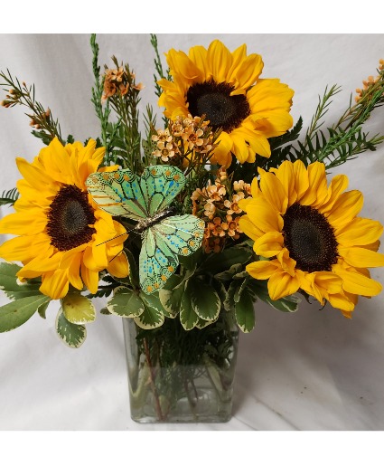 Sunny Pick Me Up! 3 sunflowers in a Vase  With a butterfly pic!