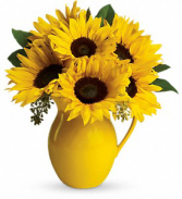 Sunny Pitcher Of Sunflowers 