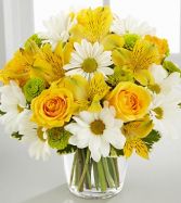 Sunny Sentiments Fresh Flowers