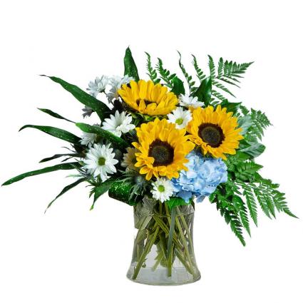 Sunny Skies All Day Arrangement