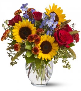 Sunny Skies HFWEB233