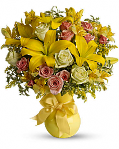 Category Image