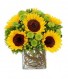 Purchase this funeral home arrangement