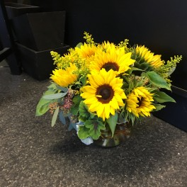 Sunny sunflower