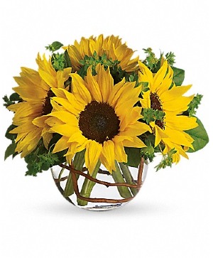 sunny sunflower bubble bowl