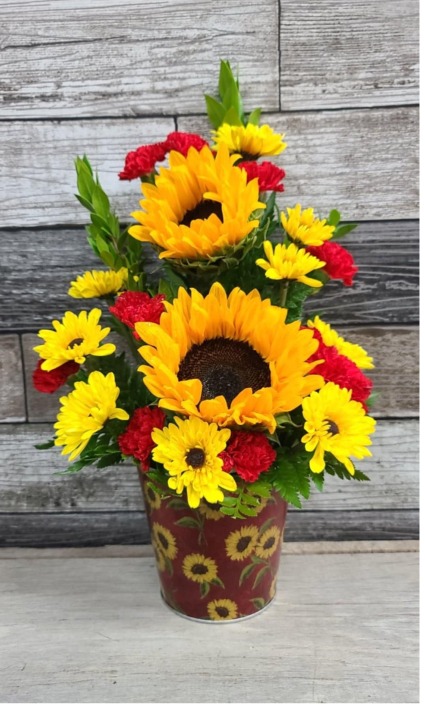 Sunny sunflower pot Fresh Flower Arrangement 