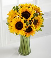 sunny sunflowers 