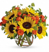 Sunny Sunflowers  in Chesapeake, Virginia | Floral Creations