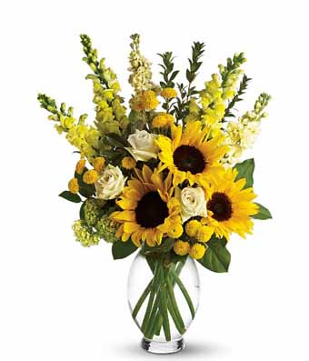 Sunny Sunflowers and More!