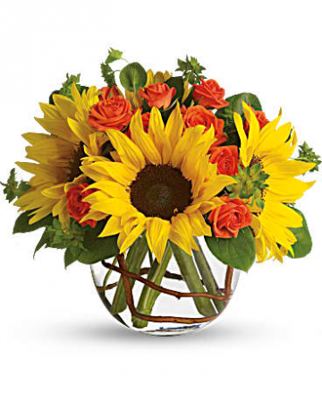 Sunny Sunflowers Arrangement in Snellville, GA | SNELLVILLE FLORIST Sunny Sunflowers Arrangement in Snellville, GA | SNELLVILLE FLORIST