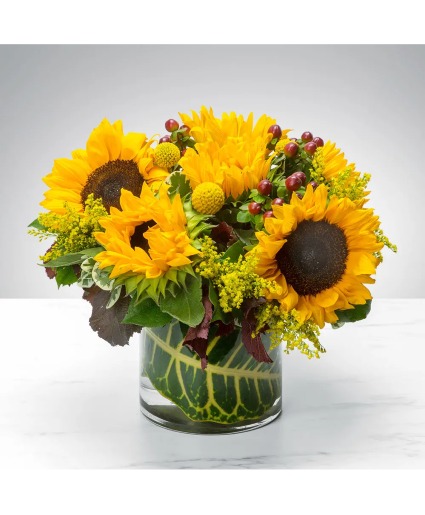 Sunny Sunflowers Arrangement 