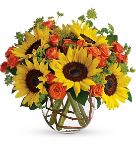 Sunny Sunflowers Best Sellers