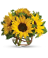 Sunny Sunflowers Bubble Bowl