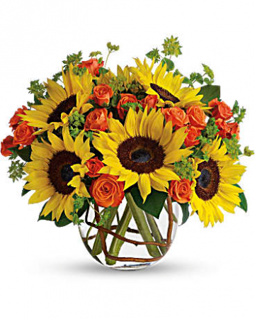 Sunny Sunflowers Compact in Los Angeles, CA | California Floral Company