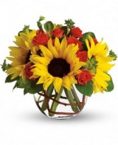 Sunny Sunflowers MIX FLOWER