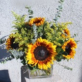 Sunny Sunflowers READ DESCRIPTION