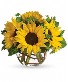 Sunny Sunflowers Small Sunflower Arrangement