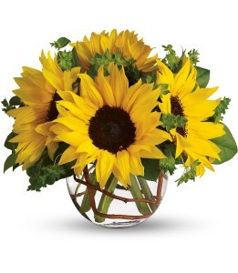 Sunny Sunflowers T152