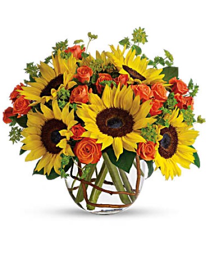 Sunny Sunflowers  thanksgiving