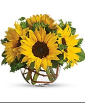 Sunny Sunflowers Vased Arrangement