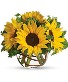 Sunny Sunflowers Vased Arrangement