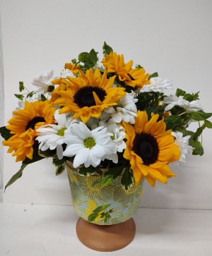 SUNNY SUN'S 