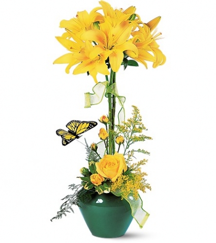 Sunny Topiary Long lasting fresh arrangement
