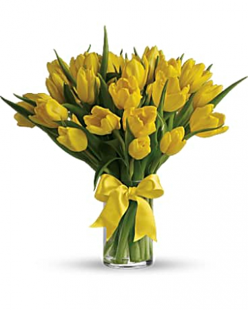 Sunny Yellow Tulips in a Vase