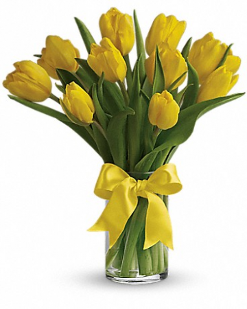Sunny Yellow Tulips T140-1 12.5