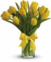  Tulips assorted colours 