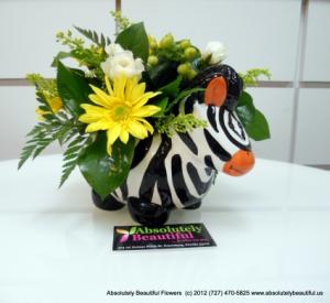 SUNNY ZEBRA New Baby Flowers in Saint Petersburg, FL | ABSOLUTELY BEAUTIFUL FLOWERS SUNNY ZEBRA New Baby Flowers in Saint Petersburg, FL | ABSOLUTELY BEAUTIFUL FLOWERS