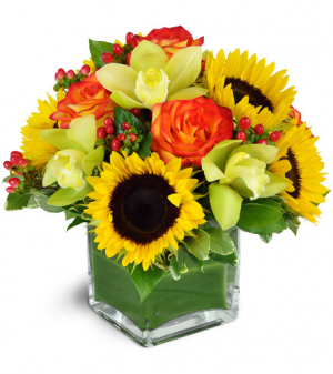Sunrise Harvest in Winter Park, FL | ROSEMARY'S FLORAL & EVENTS Sunrise Harvest in Winter Park, FL | ROSEMARY'S FLORAL & EVENTS