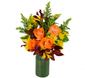 Sunrise Roses 