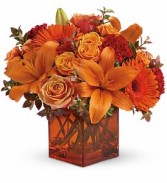 Sunrise Sunset Vase Arrangement