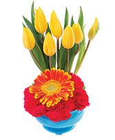 Sunrise Tulips Floral Design