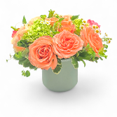 Sunset Petal Delight 