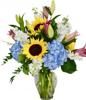 Sunset Sky Vase arrangement in Coral Springs, FL | Hearts & Flowers of Coral Springs Sunset Sky Vase arrangement in Coral Springs, FL | Hearts & Flowers of Coral Springs