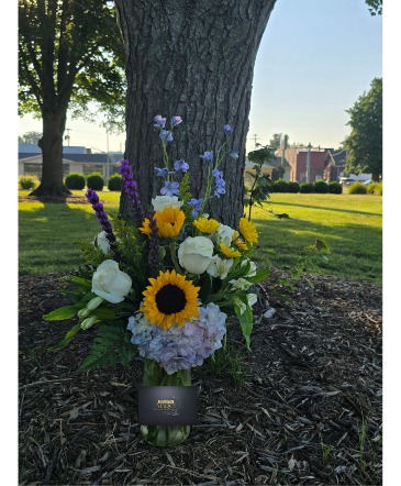 Sunshine  in Huntingburg, IN | Erin's Events