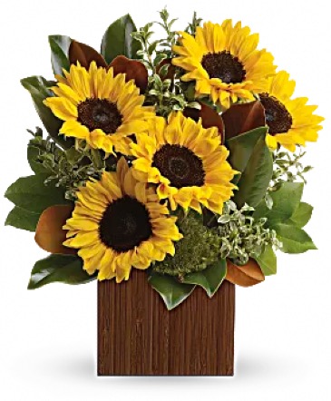 Sunshine All Boxed Up Box in Braintree, MA | Braintree Flowers Sunshine All Boxed Up Box in Braintree, MA | Braintree Flowers