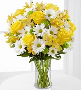 Sunshine and Daisys