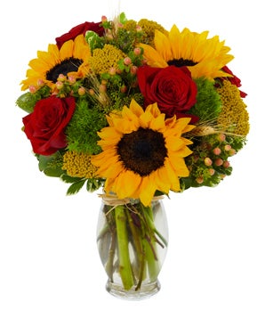 Sunshine and Roses