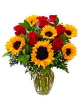 Suns and Roses