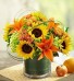  Sunshine arrangement 