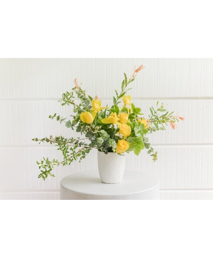 Sunshine Bloom 
