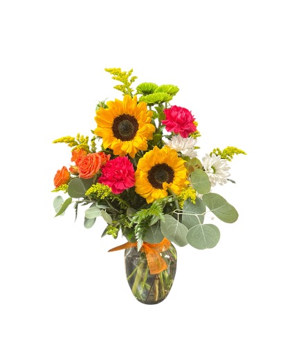 Sunshine Blooms