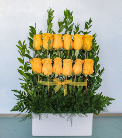 Sunshine Rose Wall