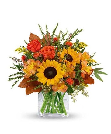 Sunshine Harvest Fall Vase arrangement in Oakdale, NY | POSH FLORAL DESIGNS INC.