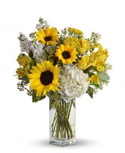 Sunshine in a vase Cut Flowers