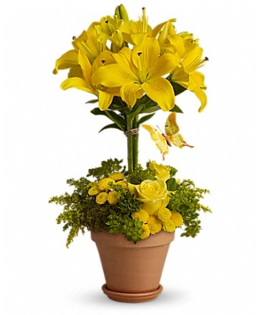 Sunshine & Laughter Floral Arrangement in Allegan, MI | Allegan Floral and Gifts Sunshine & Laughter Floral Arrangement in Allegan, MI | Allegan Floral and Gifts