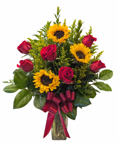 Category Image